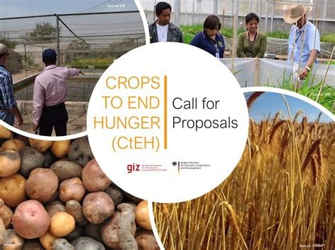 call for proposals|call for proposals tree breeding.
